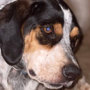 Meet your Posher, Kay